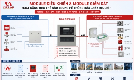 Module điều khiển và Module giám sát hoạt động như thế nào trong hệ thống báo cháy địa chỉ?